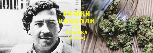 бошки Алзамай