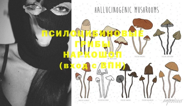 бошки Алзамай