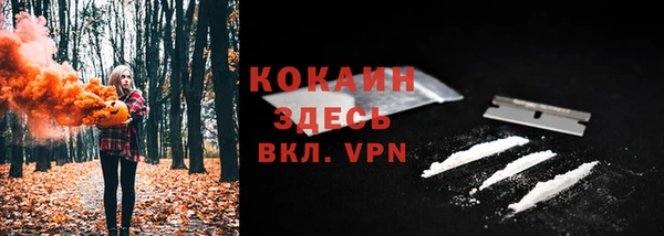 хмурый Алексеевка