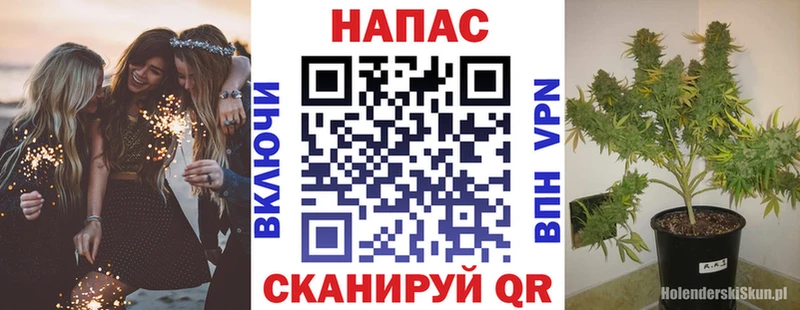 Бошки марихуана Ganja  Беслан 